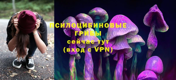 прущая мука Бугульма