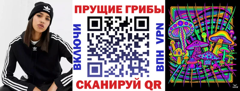 Псилоцибиновые грибы Magic Shrooms  купить наркотики цена  Ковылкино 